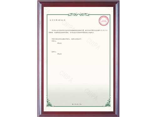 邵陽市水利水電建設(shè)有限公司2020215043119一種水利工程震動夯_2